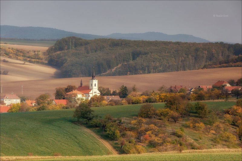 южная моравия,пейзаж,ветеров,линии,south moravian,lines,свет,czech,осень,чехия,landscapes,поле,деревня,лес СОЛНЕЧНЫЙ ВЕТЕРОВ фото превью