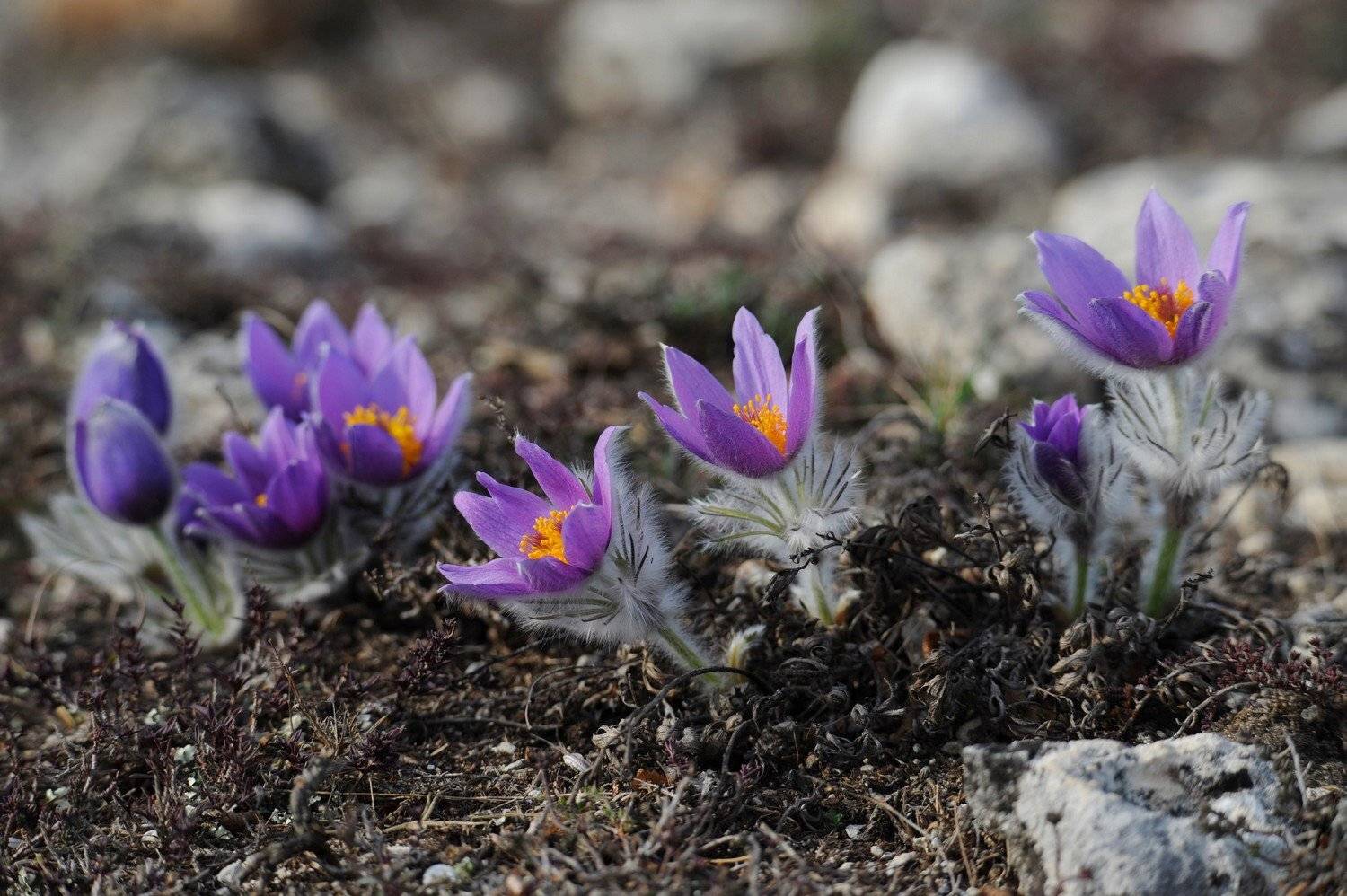 , Дарья Васильева