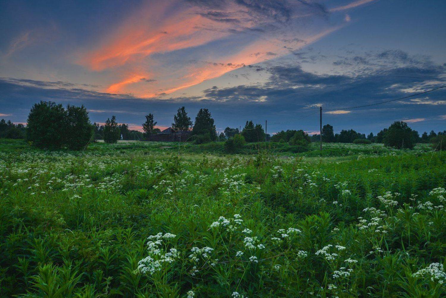 великий двор,вологодчина,кема,север,лето,, Роман Горячий