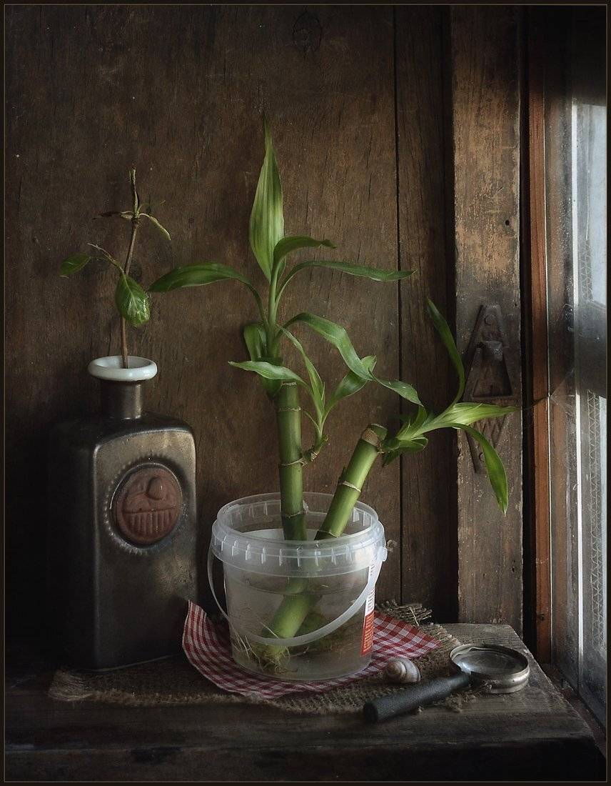 , Александр Хромеев