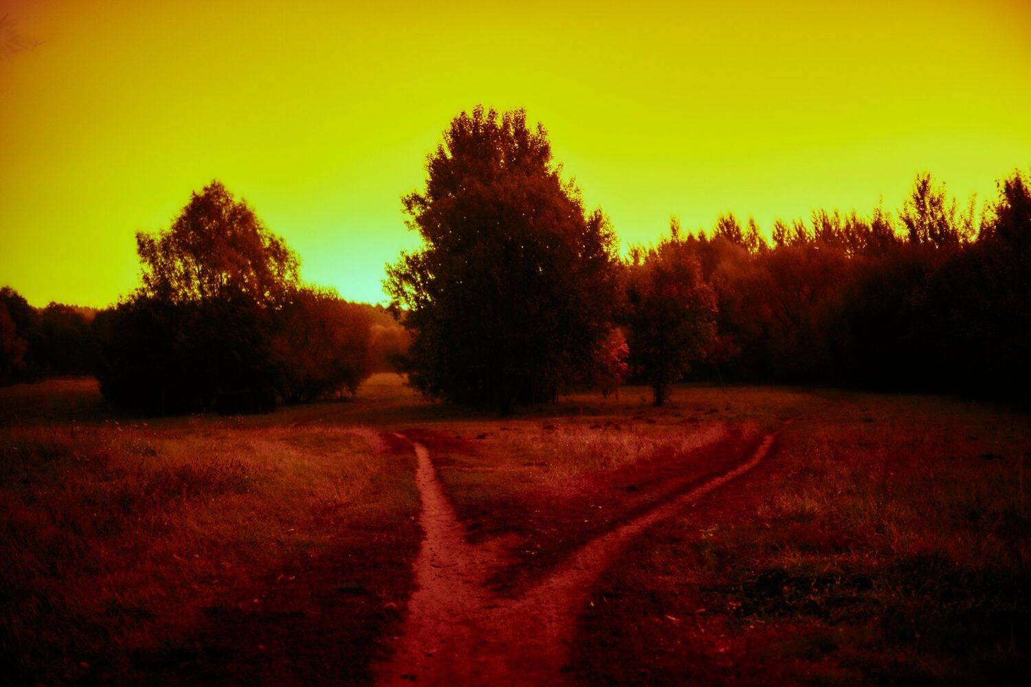 , Александр Фанковин