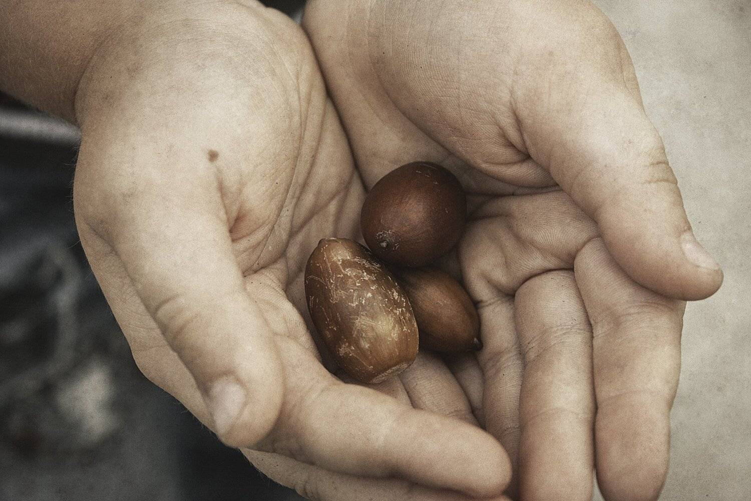 , Ольга Алексейчик