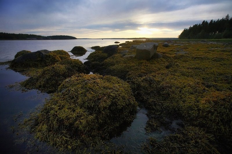 кольский, закат, вода, белые ночи Закат на Белом море фото превью