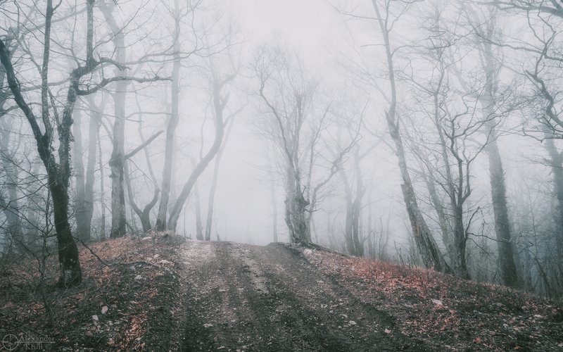 Сквозь холодное молоко... фото превью