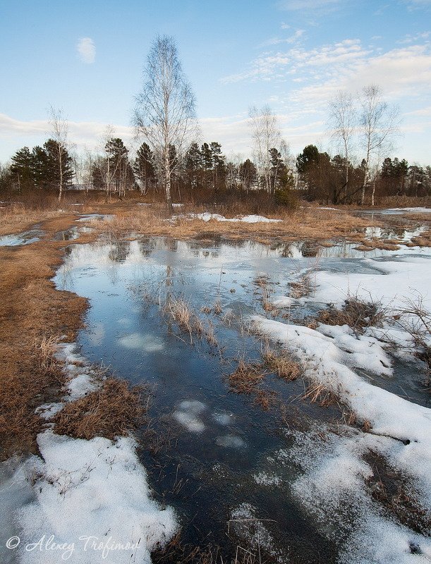 Spring Water фото превью