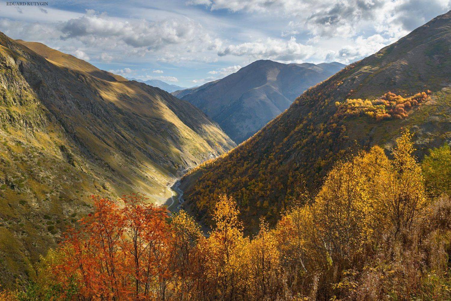 , Кутыгин Эдуард