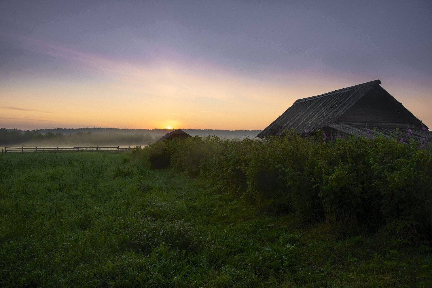 архангельская обасть, белая ночь, русский север, заброшенные деревни, Михаил Карпов