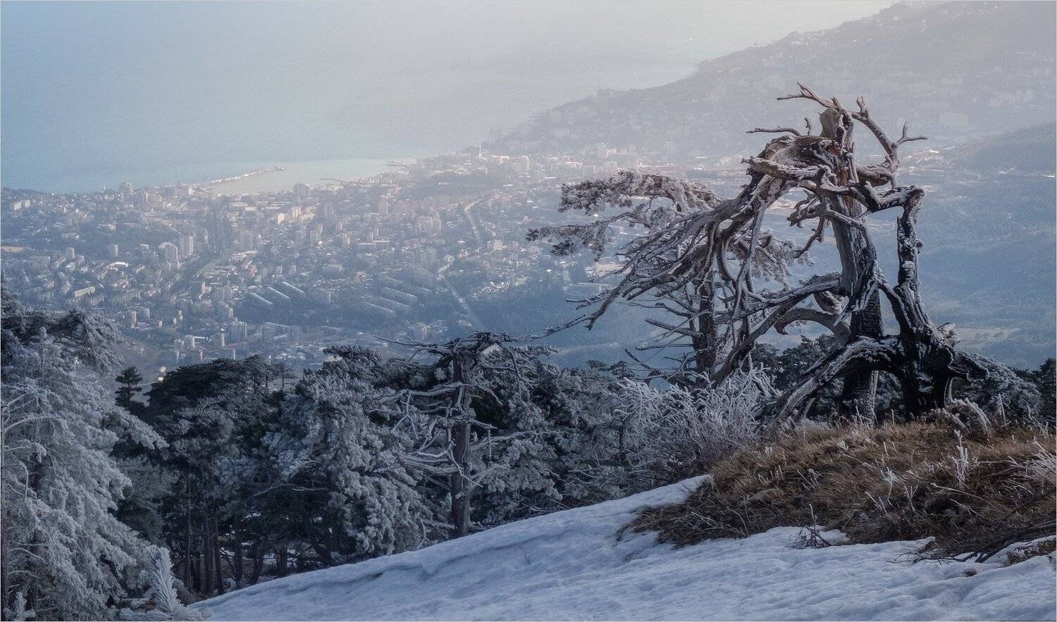 , Михаил Гапонов