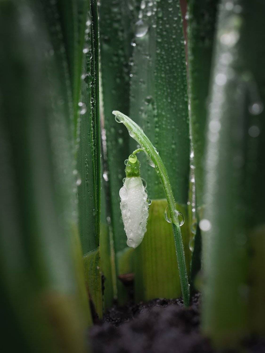 , Евгений Лукашук