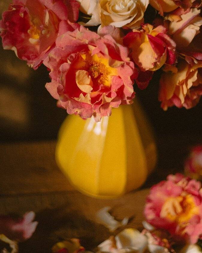 Цветы, свет, розовый, желтый, белый, натюрморт, Анастасия Зубкова