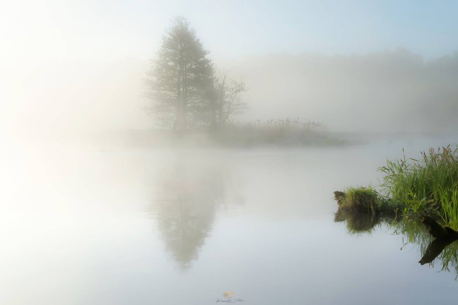 nature, islet, landscape, fog, sky, tree, forest,water, dawn, atmosphere, nikon, light, mist, mirror, , Krzysztof Tollas