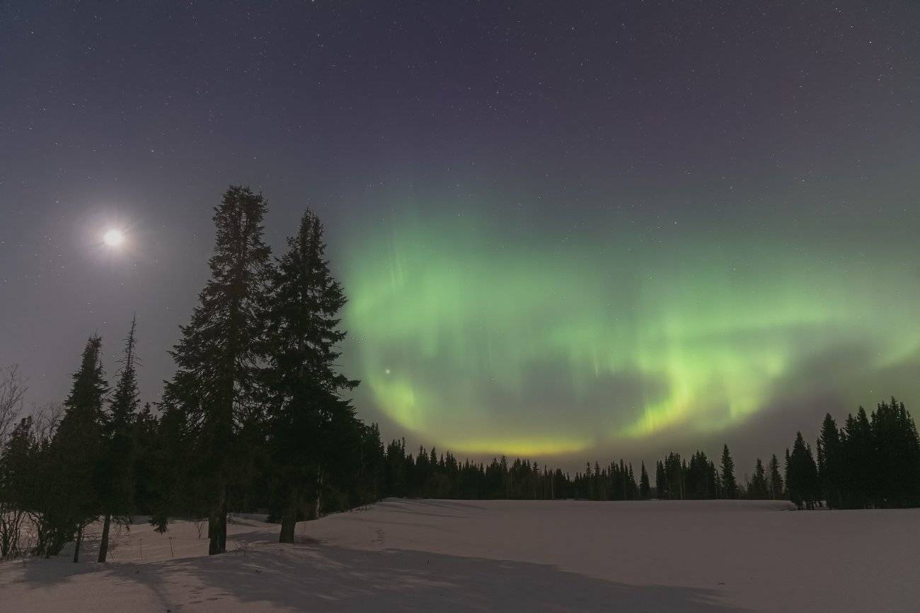 печора,ночь,луна,северное,полярное,сияние, Игорь Подобаев