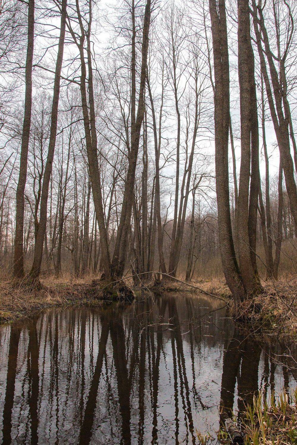 , Александр