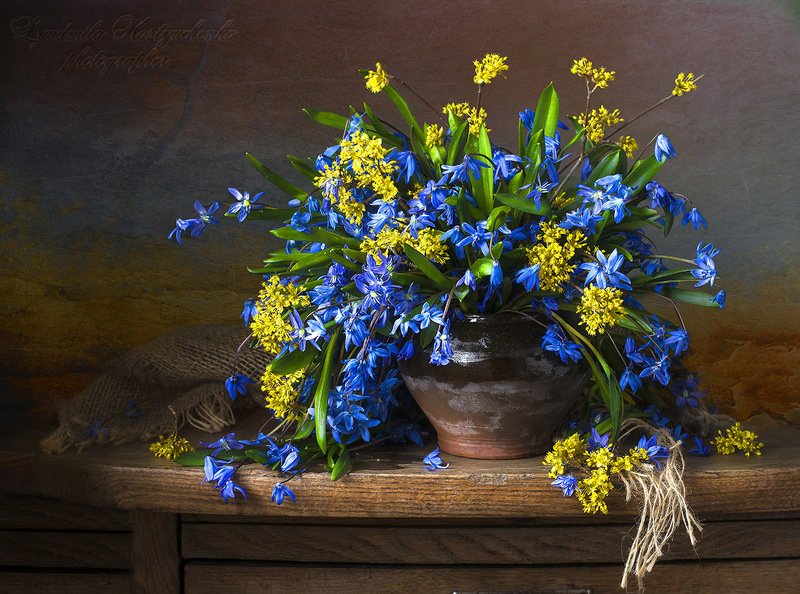 натюрморт с с пролесками,весна,букет,голубые,синие цветы,художественное фото,искусство.  фото превью