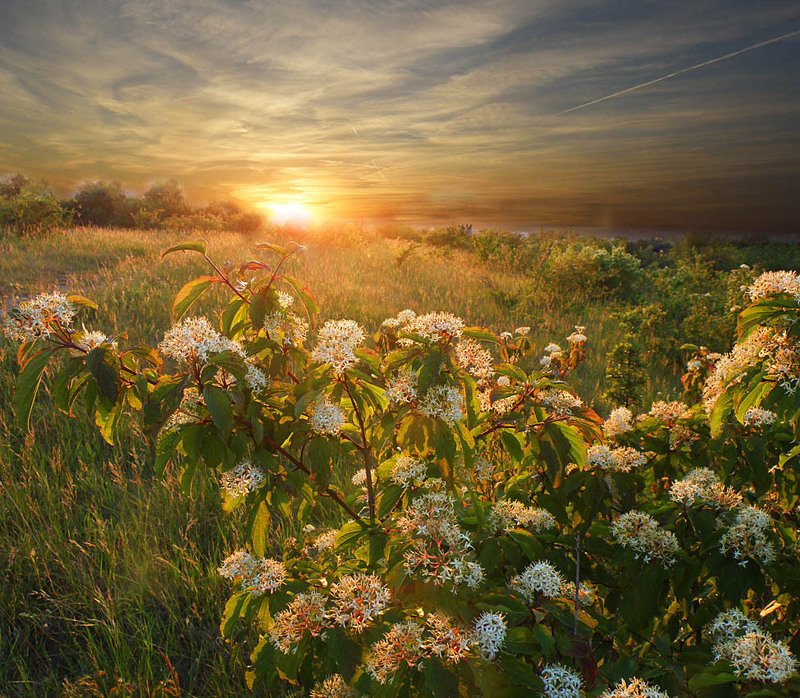 весенний закат фото превью