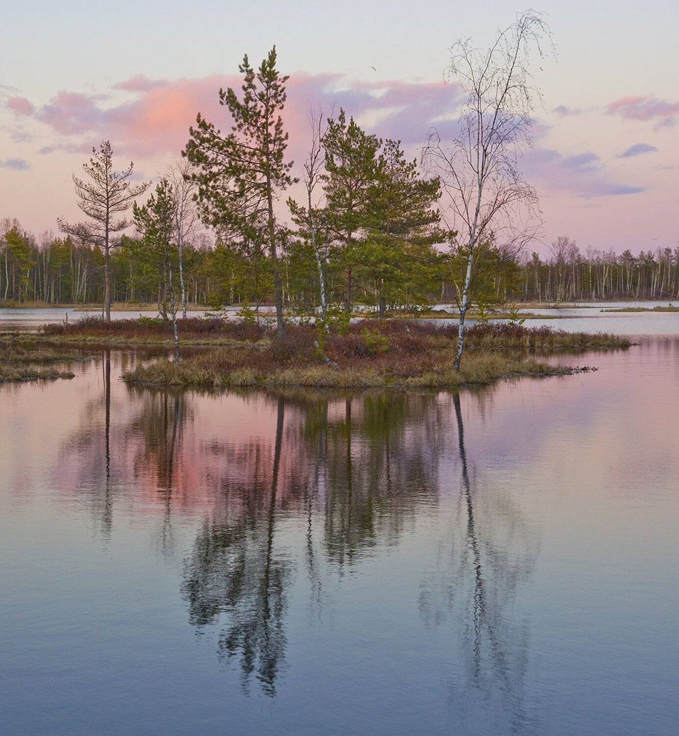 , Петр Косых