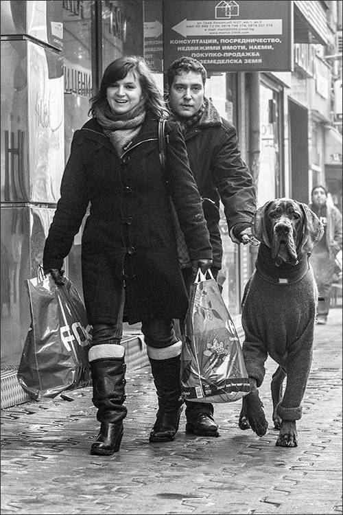 bw, bnw, street, portrait, 35mm, composition, чб, портрет, уличнаяфотография, композиция, собака, dog,, Denis Buchel (Денис Бучель)