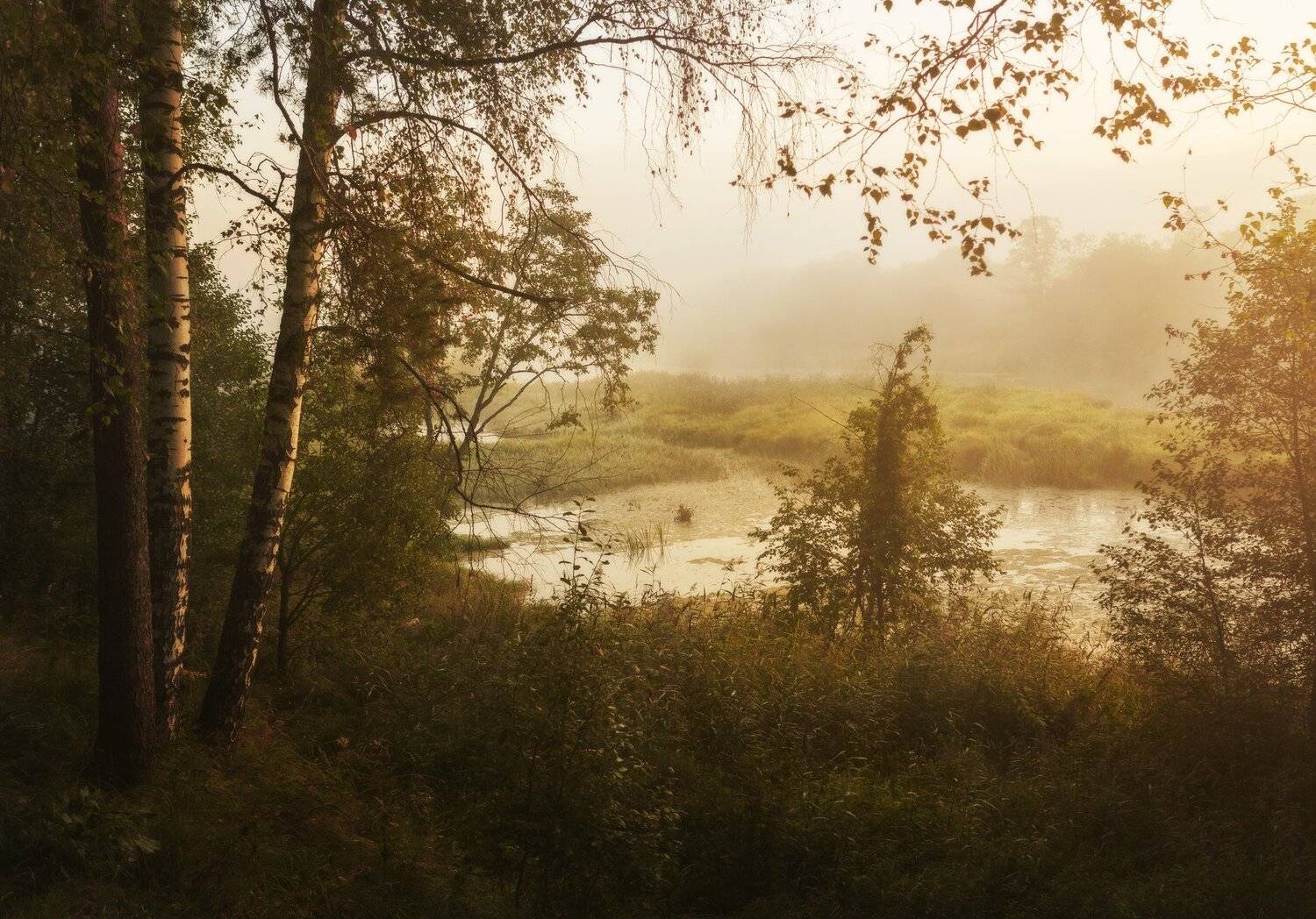 озеро, горы, лес, природа, закат, рассвет, красота, приключения, путешествие, облака, Шевченко Николай