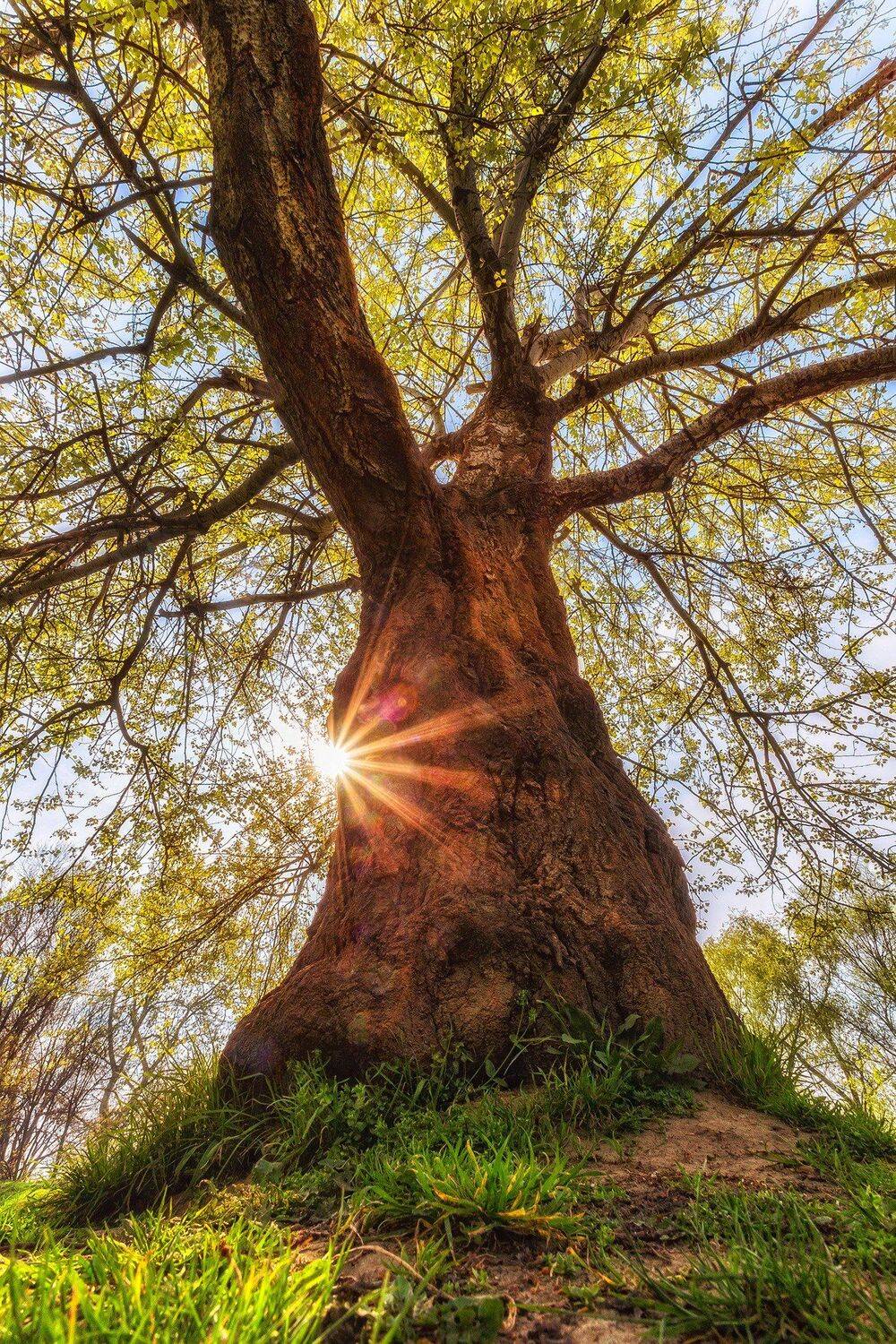 , Павел Сагайдак