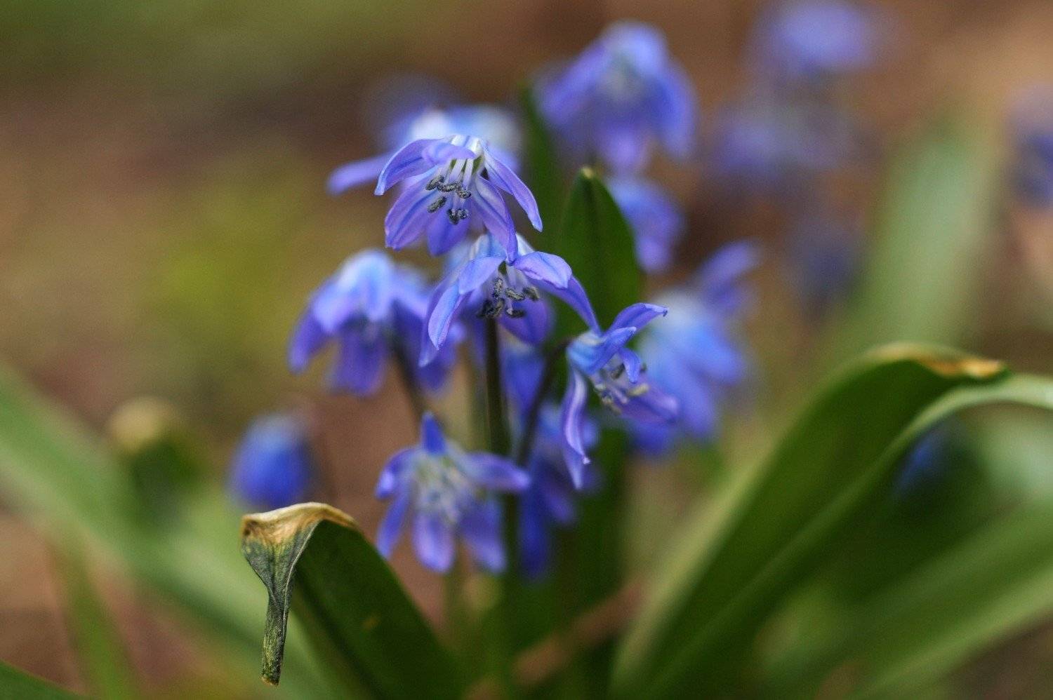 , Дарья Васильева