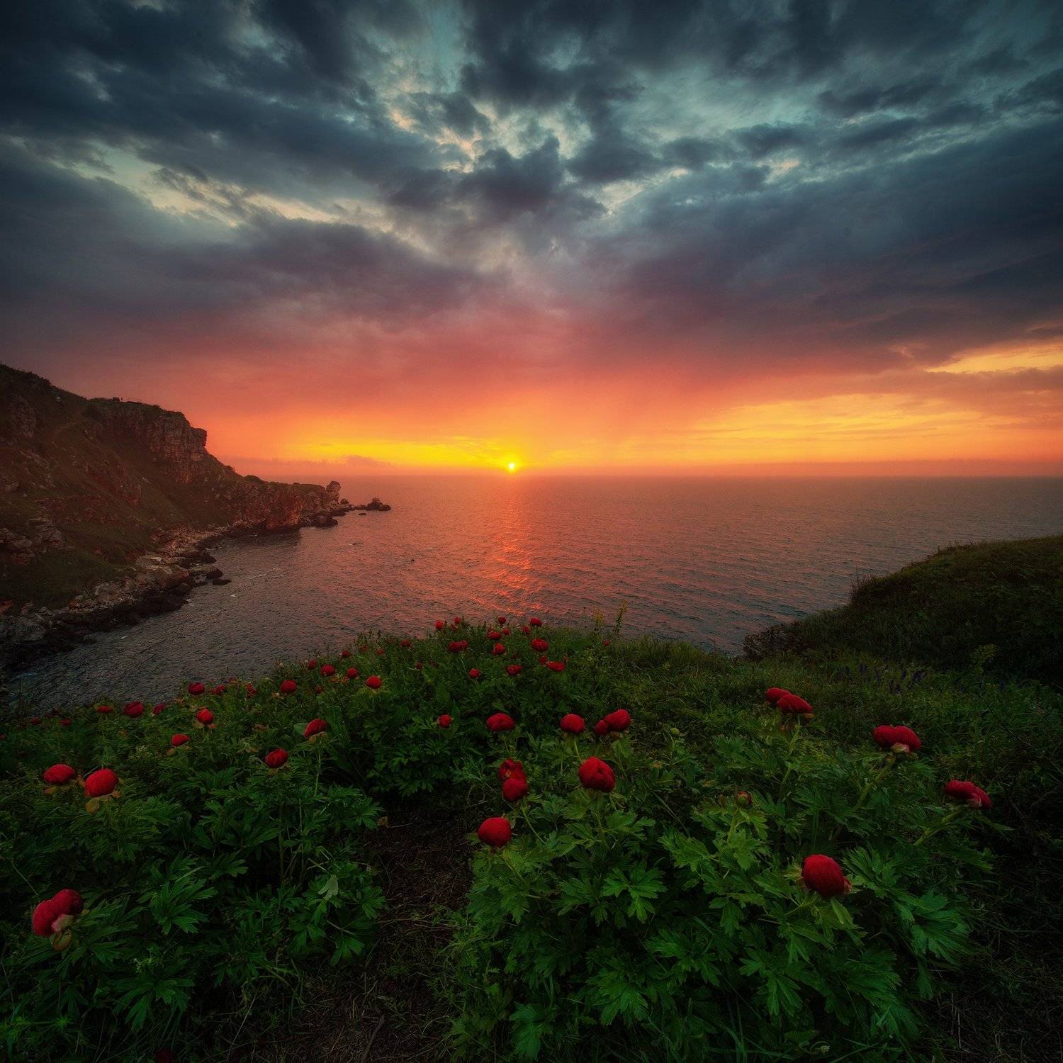 , Красимир Матаров