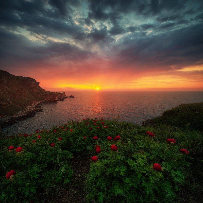 *** фото превью