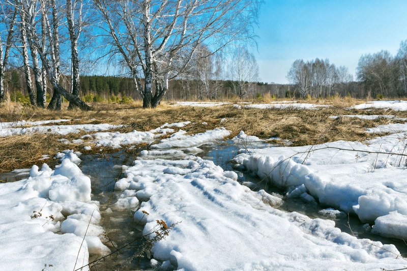 Зауральская весна фото превью