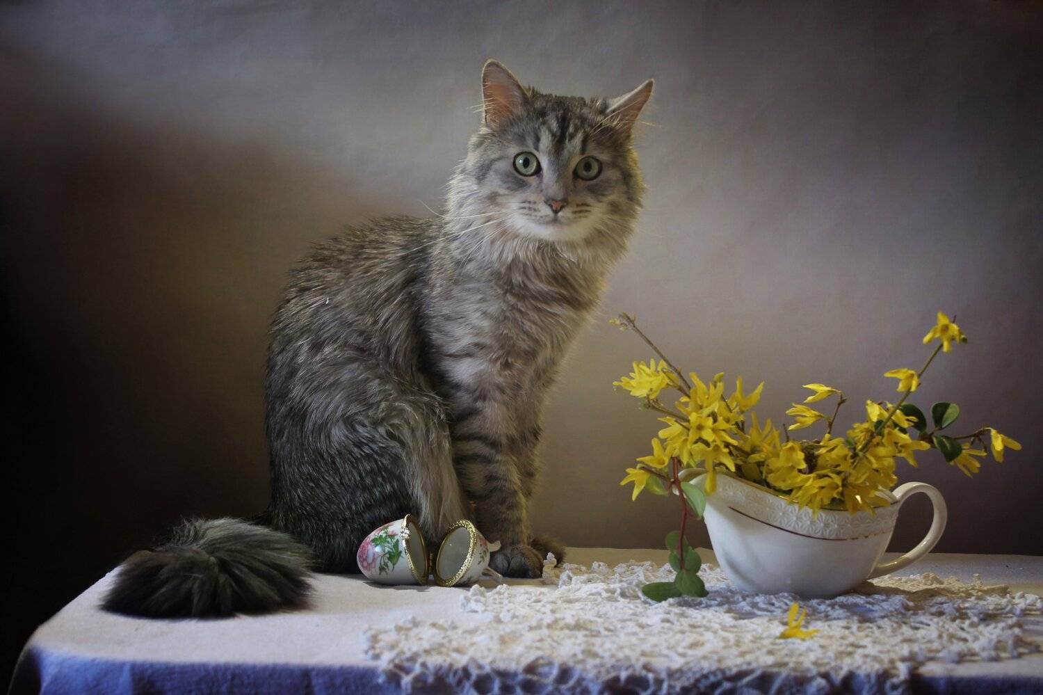 композиция, весна, цветы, яйцо, кот, животные, Ковалева Светлана