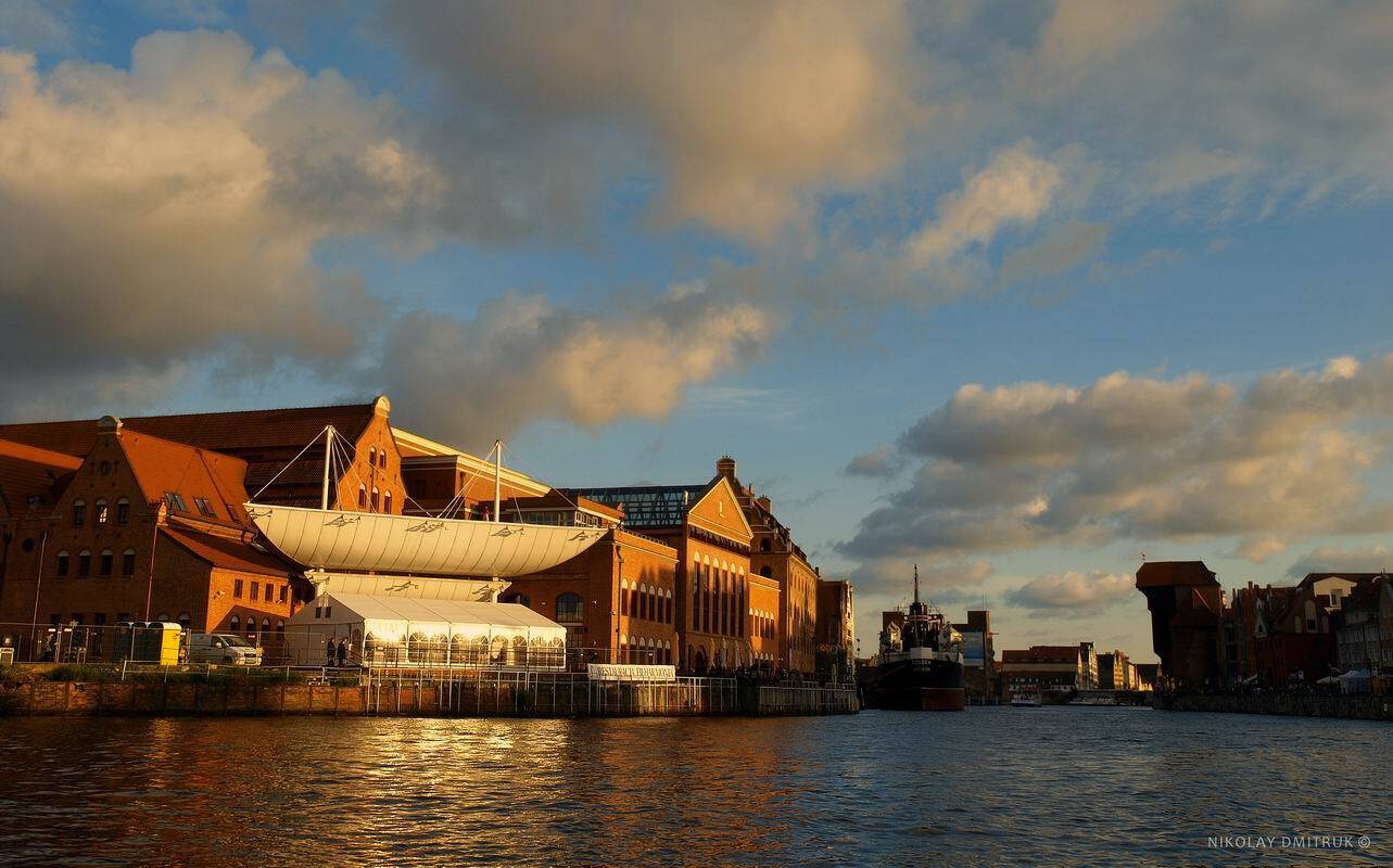 город, николай дмитрук