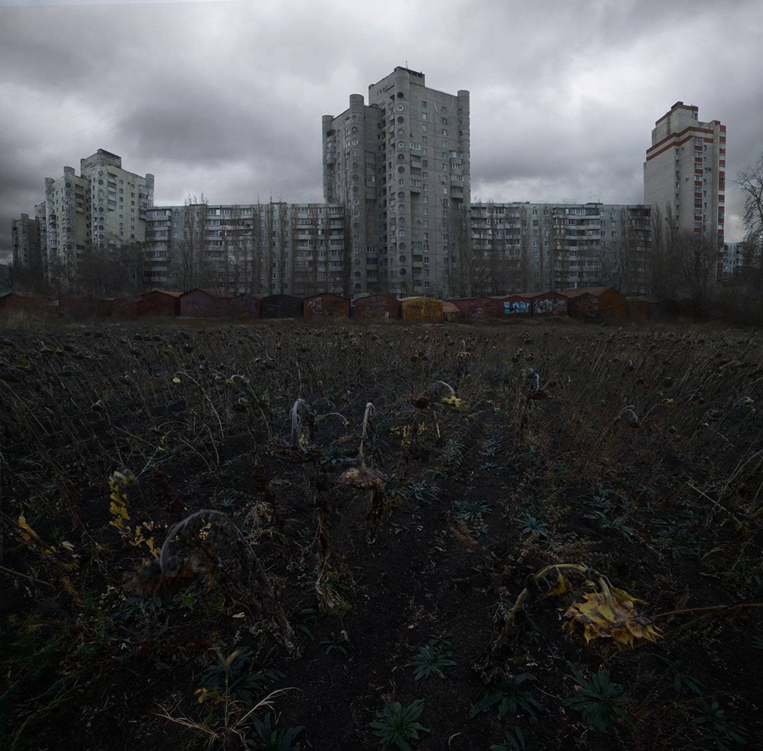 , Дeнис Бoдрoв