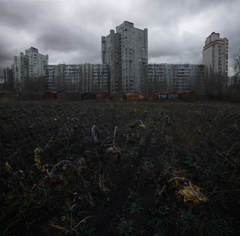 ___ фото превью