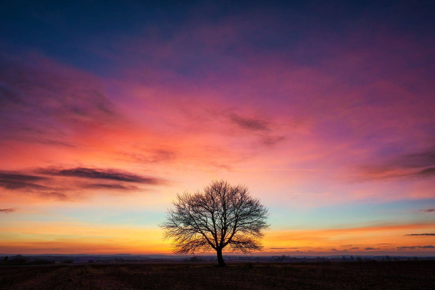 landscape, Ignacio Municio