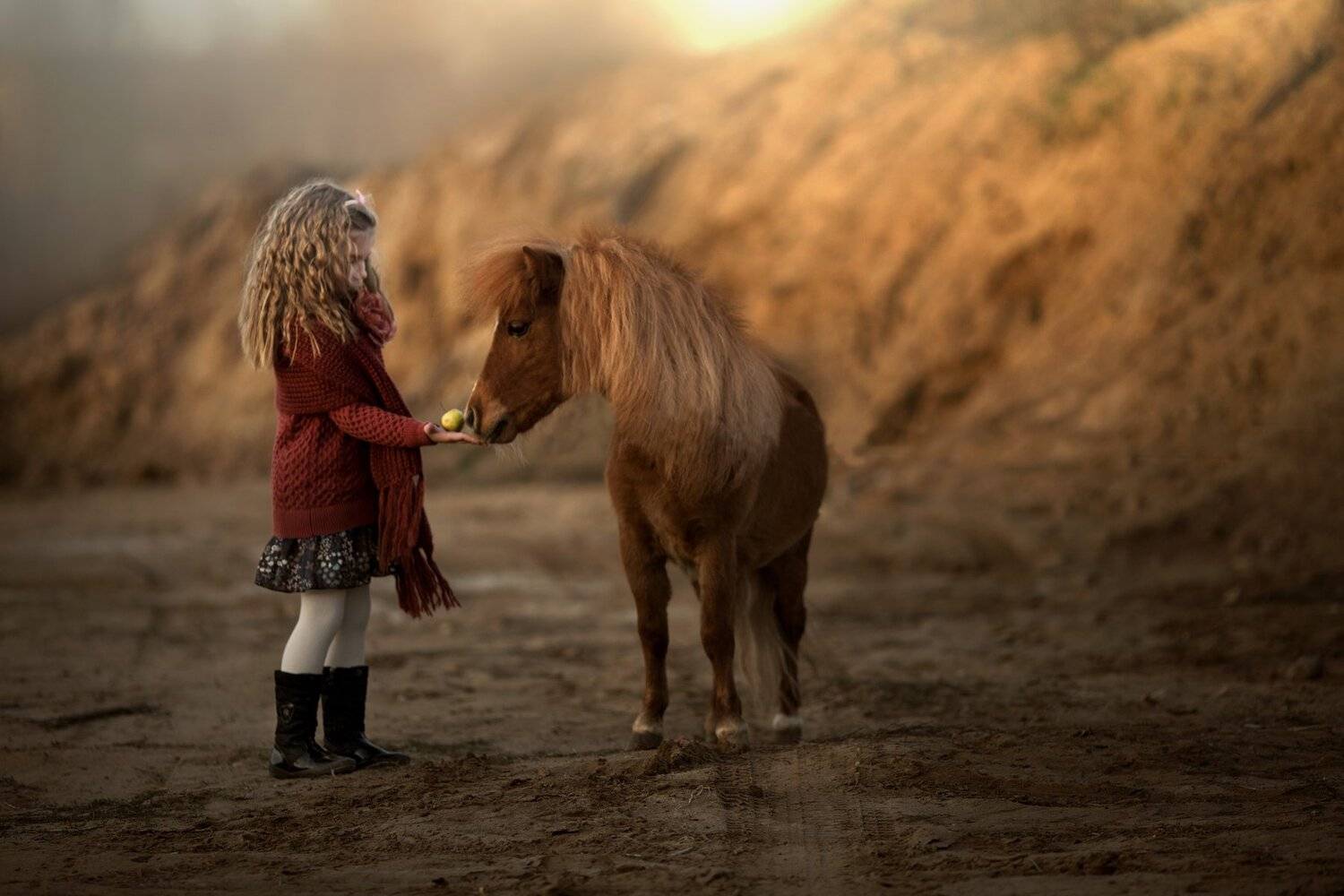 детский портрет, детский фотограф, фотосессия, пони, фото с животными, семейный фотограф, топ фотограф, теплые фото, сказочная обработка, Валерия Мороз