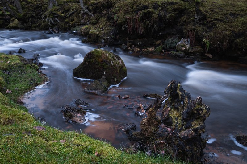 река камни вода пейзаж трава мох  Каменное лицо фото превью