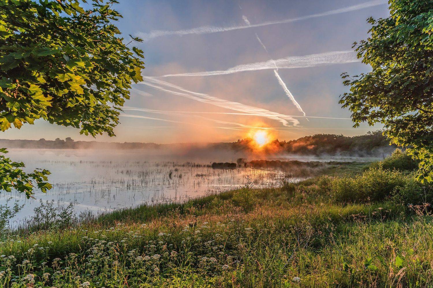 morning, Aleksey Sharypin