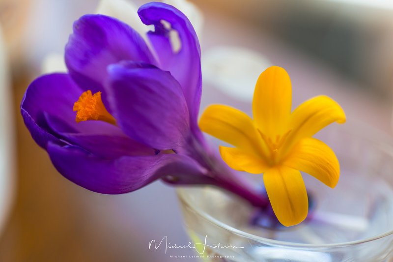 April... фото превью