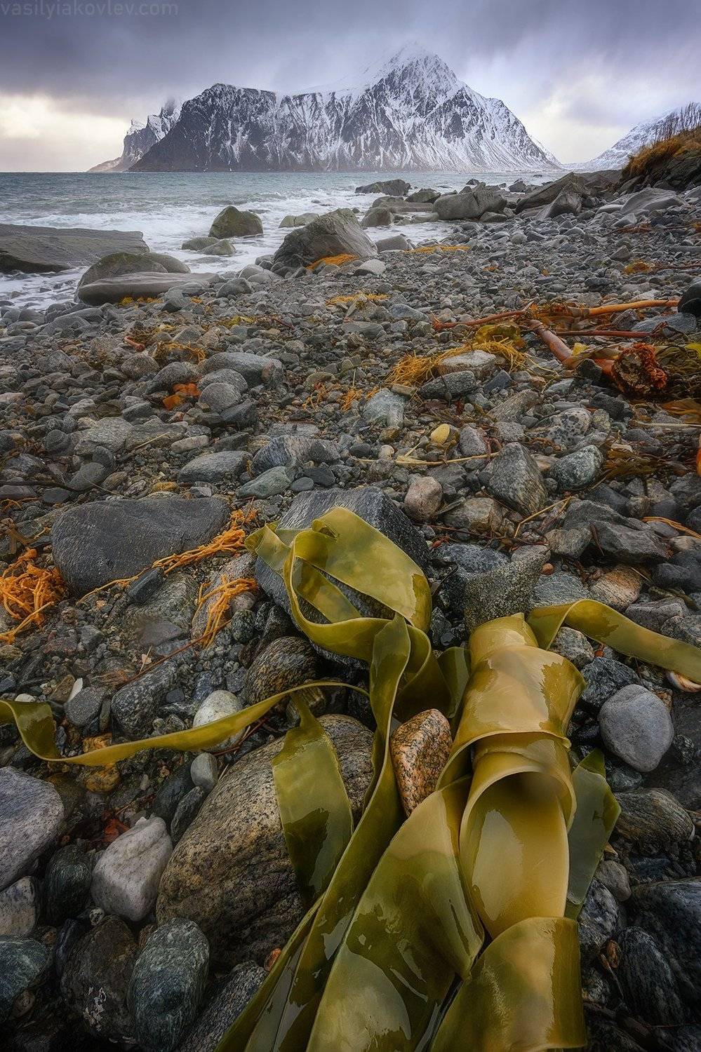 лофотены, фототур, норвегия, яковлевфототур, василийяковлев,, Василий Яковлев