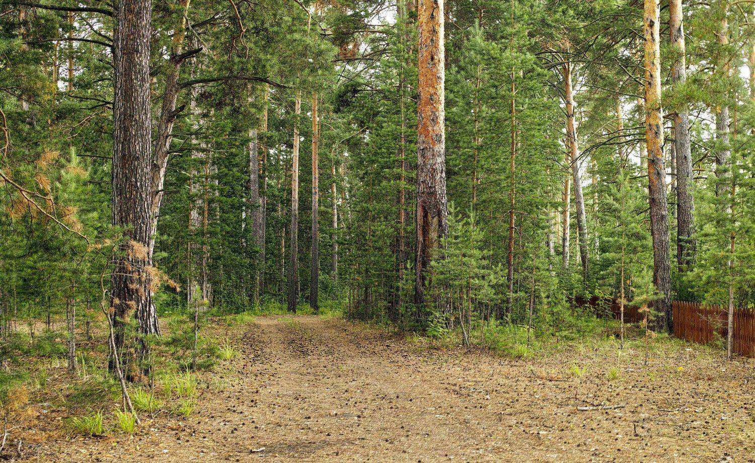 , Бусыгин Борис