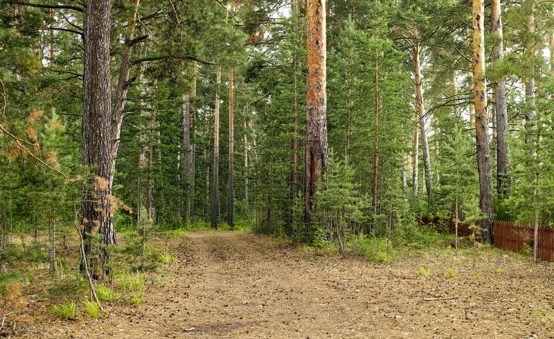 Пасмурно фото превью