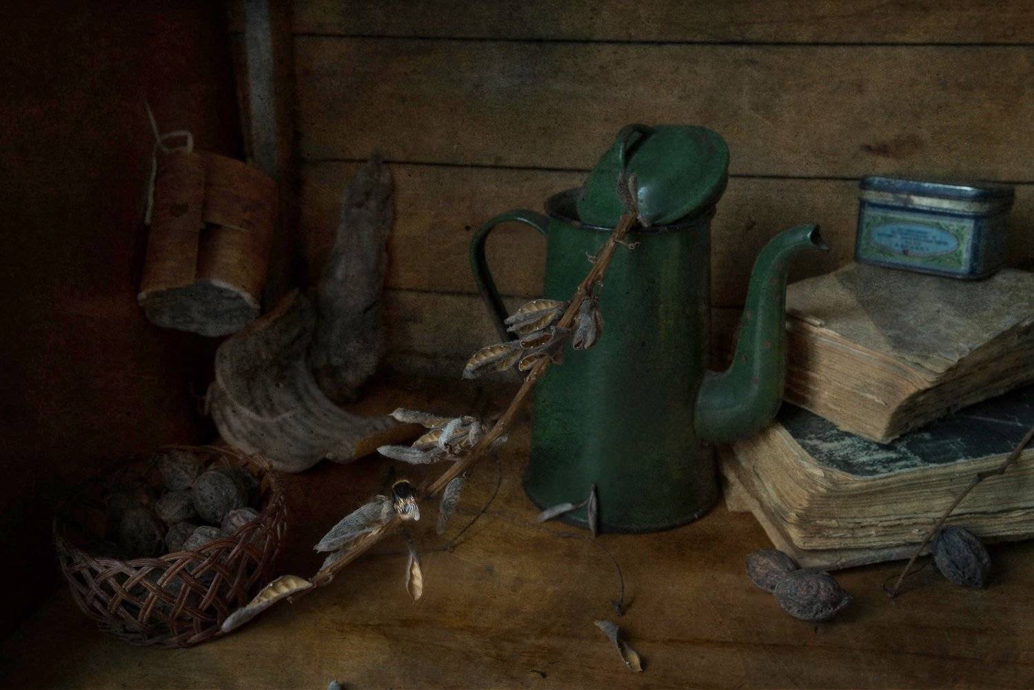 , Ирина Данилова