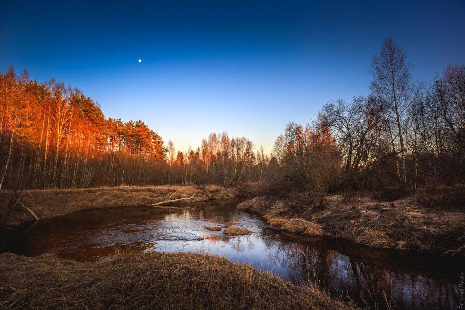 , Евгений Луцко