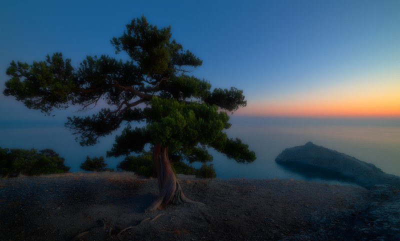 COLOR фото превью