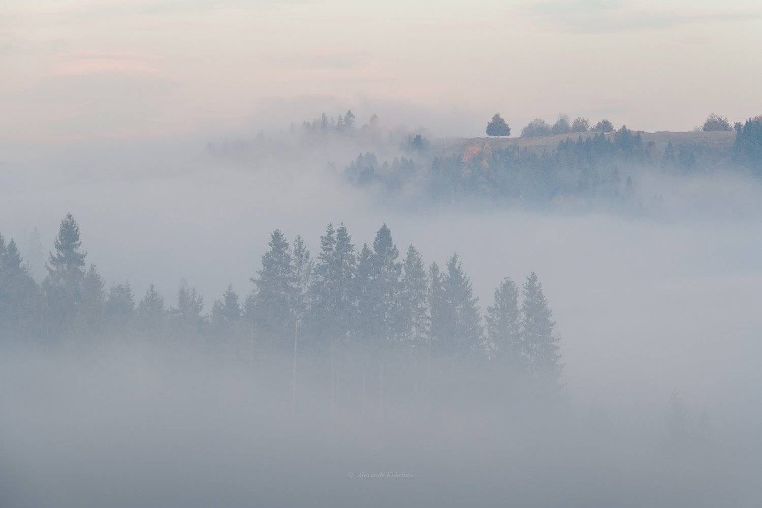 карпаты,осень,пейзаж,туман,утро,рассвет, Александр Кукринов