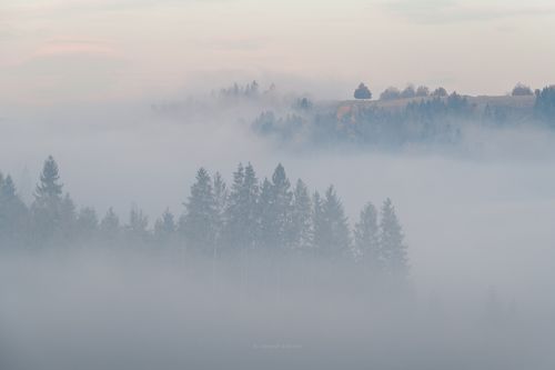 Карпатская акварель...