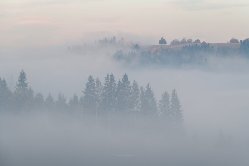 Карпатская акварель... фото превью