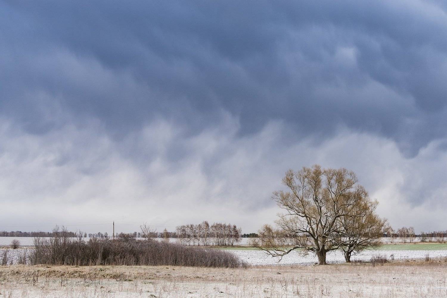 , Дмитрий Новоселов