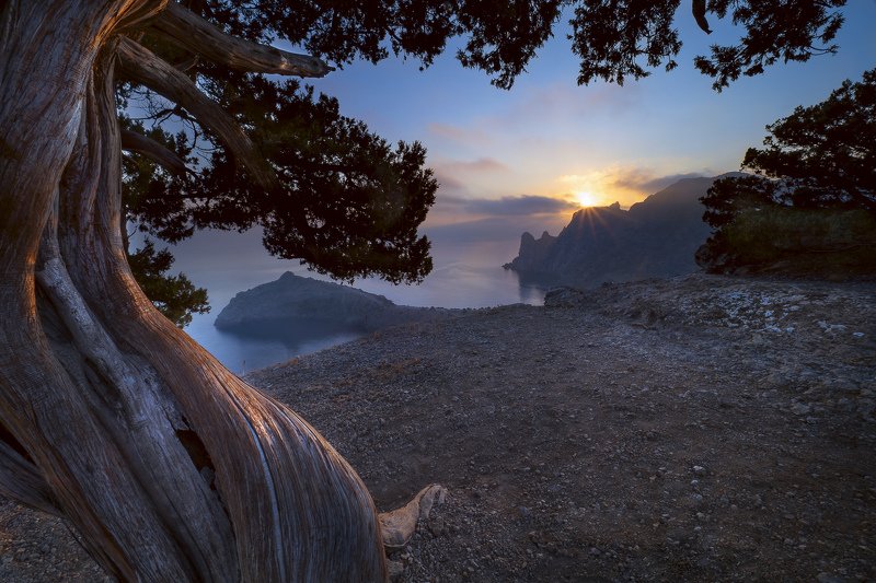 Волнуясь... фото превью