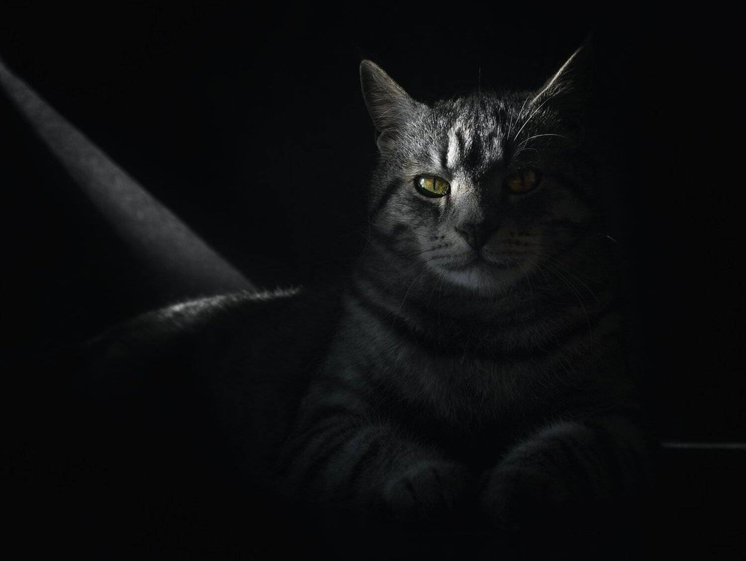 , Баранов Олег