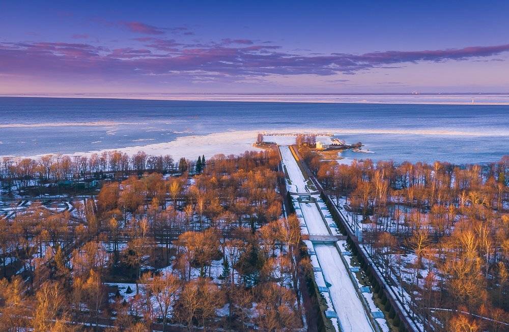 , Светлана Морозова