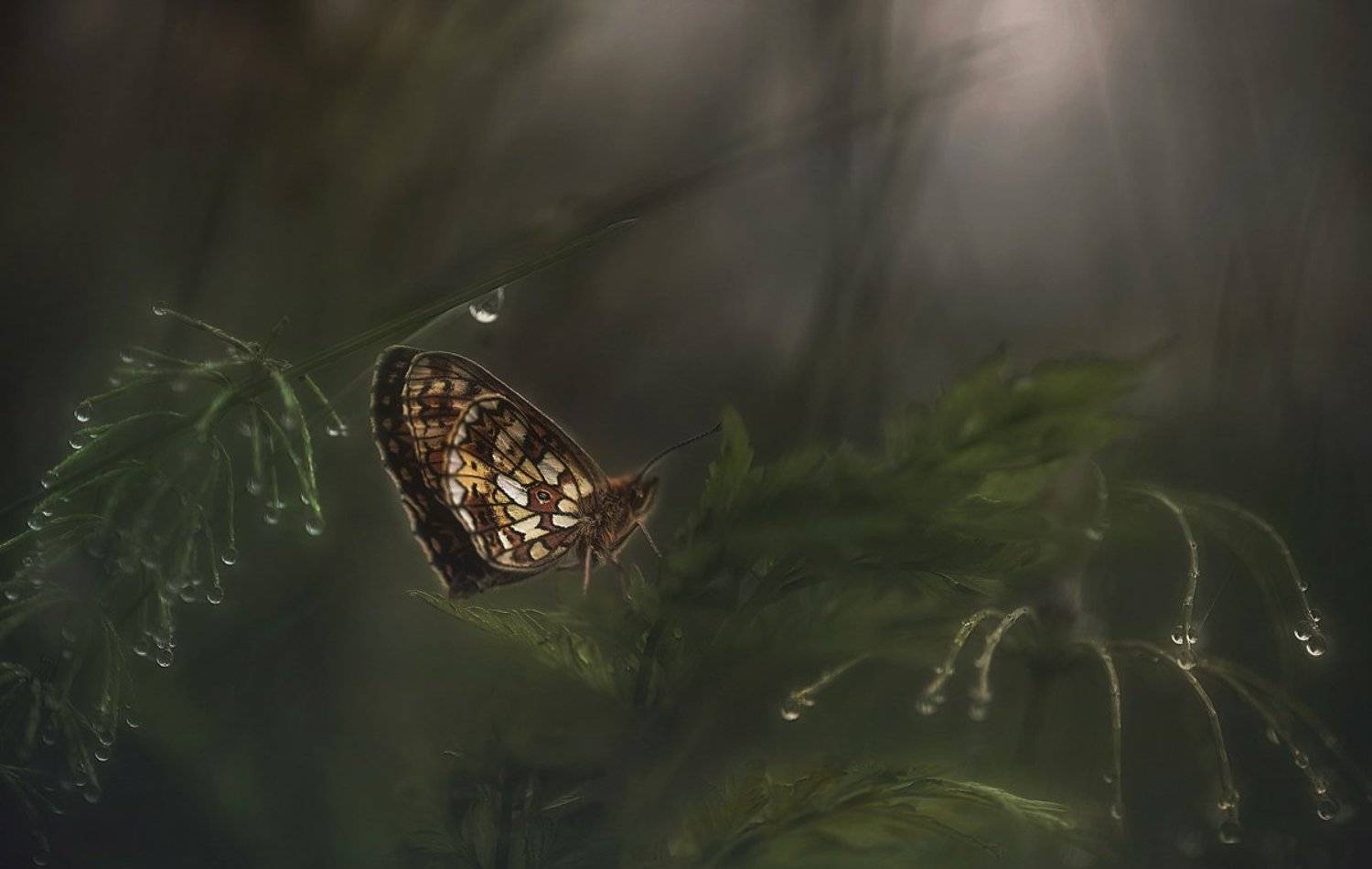 , Галина  Юняева